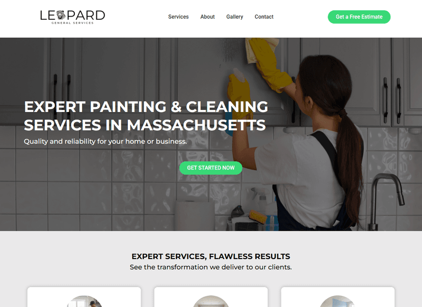 Print do projeto Leopard GS LP